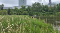 Two youth drown in Dryden, Ontario's Wabigoon River