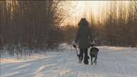 Northern Ontario fur trapping group warns pet owners to keep pets close-by on Crown Land