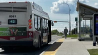 2 suspects charged after Calgary bus driver assaulted, police say