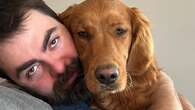 Dog believed to belong to missing B.C. man found alive 6 weeks after his disappearance: family