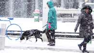 Waterloo region, Guelph could see 15 cm of snow Saturday night