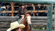 B.C. Interior family in mourning following apparent killing of teen's horse