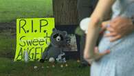 Vigil held in Riverdale for animals allegedly killed by teen