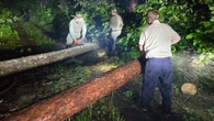 Rescuers saw, paddle their way to badly hurt boy in Algonquin Park