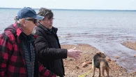 Sault Ste. Marie residents among Canadians concerned about decades of 'forever chemicals' contamination