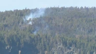 Wildfire put out, after 'very fast' spread in Flatrock, N.L.