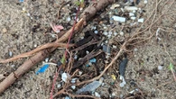 Tiny plastics 'like rice on your kitchen floor' pose hidden pollution risk on Toronto's waterfront