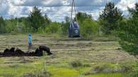 Research project aims to restore peatland carbon sink in Sudbury, Ont.