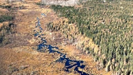 Couple donates southeastern Manitoba peatland to honour late uncle's wish to protect it