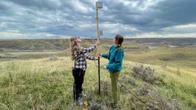 Canada-wide nocturnal bird sound migration tracker takes flight