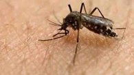 First human case of West Nile virus reported in Windsor-Essex, health unit says