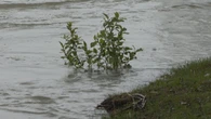 Heavy rainfall triggers flood warnings, evacuation alerts west of Calgary