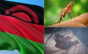 Malawi Launches Campaign to Eradicate Malaria By 2030