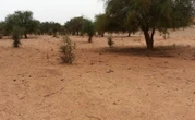 Many Villagers Killed in Attack Near Niger-Mali Border