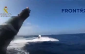Прикордонники ЄС показали відео спецоперації