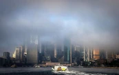 На Сідней опустився густий туман