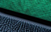 У мережі виявили базу даних з 184 млн акаунтів популярних сервісів