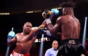 Почато пошук нового можливого претендента на бій з Усиком по лінії IBF
