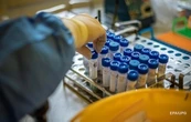 "Індійський" штам COVID виявили ще у трьох країнах