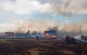 Площа лісових пожеж у Росії зрівнялася з територією Чорногорії