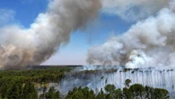Los bosques arden: Latinoamérica sufrió una pérdida récord en 2024