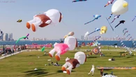 Cerfs-volants et street food : un régal visuel et gustatif | Qatar 365