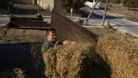 Athènes met sous tutelle un organisme agricole après une enquête du Parquet européen