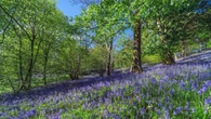 6 lugares serenos para ver florecer la primavera en toda Europa