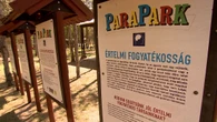 La granja húngara que acoge a los refugiados ucranianos discapacitados
