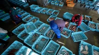 La Chine reprend les importations de produits de la mer japonais après le rejet des eaux usées de Fukushima