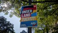 Una campaña social denuncia que AfD reproduce terminología nazi