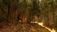 Plus de 5 000 pompiers luttent contre une centaine d'incendies au Portugal