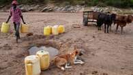 Journée mondiale de l'eau : pourquoi tant de gens luttent-ils ?