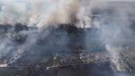 Un devastador incendio arrasa con casas y campos en Rumanía