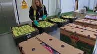 Le casse-tête des nouveaux contrôles douaniers post-Brexit