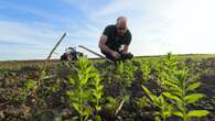 ¿Todavía hay esperanza para los agricultores ecológicos en Europa?