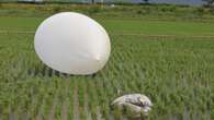 Un globo se estalla sobre el complejo presidencial de Corea del Sur