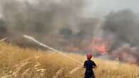 Incendies de forêt : l'Albanie demande l'aide de l'UE