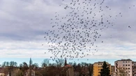 Guben wirbt mit kostenlosem Probewohnen um Zuzügler