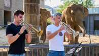 Deutsches Symphonie-Orchester spielt im Zoo