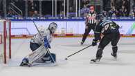 Eisbären: Der Meister stoppt das Team der Stunde