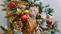 Katze vom Weihnachtsbaum fernhalten? Mit diesen Tricks klappt es