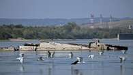 Niedrigwasser der Donau „spuckt“ versunkene Nazi-Flotte aus