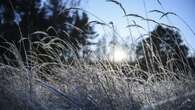 Wetter in Berlin: Frühling am Tag, Frost in der Nacht