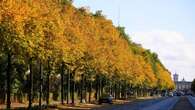 Goldener Herbst in Berlin! Bestes Wetter für Astro-Doppel-Knaller