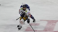 Harter Schlag für die Eisbären, Boychuk vier Spiele gesperrt