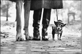 Se ne va a 95 anni Elliot Erwitt, il fotografo di "Vita da cani"