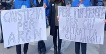 Il padrone di Aron, cane bruciato a Palermo, non potrà più avere animali