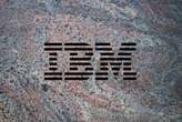 IBM unveils Granite 3.0 AI models with open-source commitment