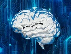 CAMIA privacy attack reveals what AI models memorise